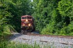 A northbound grain train comes out of the woods at Lassiter Road 